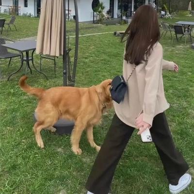终极性爱死